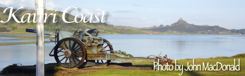 KAURI COAST ATTRACTIONS